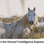 How Smart Are Horses? Intelligence Explained Clearly